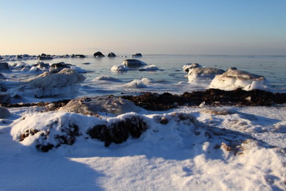 Havet är alltid tilltalande.