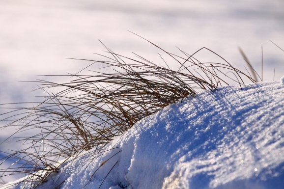 Lite mer flum från östra stranden...