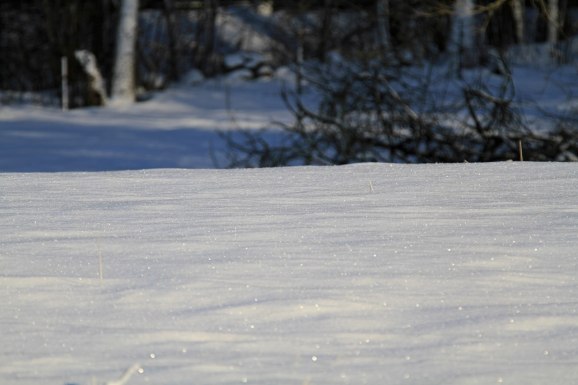 Gnistrande snö...vårteken..nähä