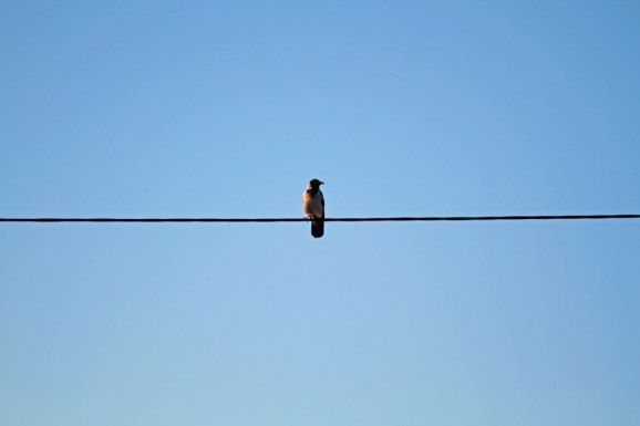 Det finns något som kallas "tredjedelsreglen" inom fotografin. OK visst...men inte alltid det är väl ingen religion. Här kör vi helcentrerat