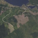 Avverkning