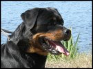 080730_kate_head