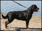 080730_kate_st