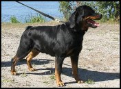 080730_wilma_st