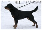 uma1
