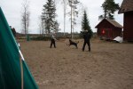 2010-05-03 053