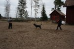 2010-05-03 062