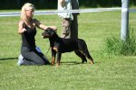 IMG_3106