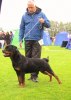 Just Ask Roy V3 Swedish Winner 2010