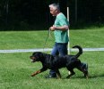 Just AskRoy Moving