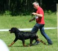 Nixon running at Swedish Sieger-10