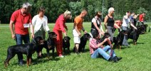 Best Breeders Group Swedish Sieger Show 2010