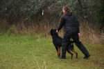 Just Ask Thore (2)