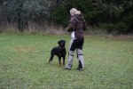 Just Ask Ulla (3)