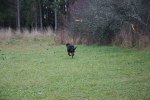 Just Ask Ulla (4)