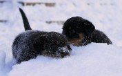 20101222_IMG_0046