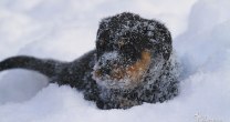 20101222_IMG_0062