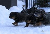 20101222_IMG_0094