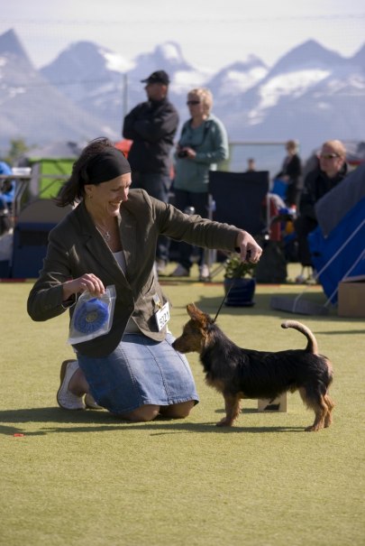 BIS och BIG plac. Boss i Bodö 2009 