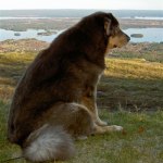 Looking over the world