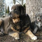 Asti and daughter Polaris