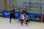 Wings-Visby%20Allettan%202012%20058