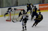 Wings-Visby%20Allettan%202012%20557