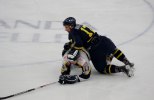 Wings-Visby%20Allettan%202012%20667