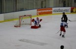 Wings-Falun Allettan 2012-01-15 089