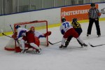 Wings-Falun Allettan 2012-01-15 112