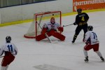 Wings-Falun Allettan 2012-01-15 159