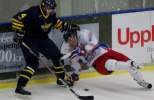 Wings-Falun Allettan 2012-01-15 190