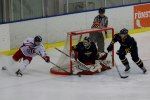 Wings-Falun Allettan 2012-01-15 218