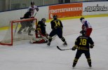 Wings-Falun Allettan 2012-01-15 280