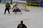 Wings-Falun Allettan 2012-01-15 343 (1)