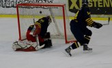 Wings-Falun Allettan 2012-01-15 570