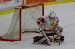 Wings-Hedemora 22012-01-29 136
