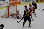 Wings-Hedemora 22012-01-29 169
