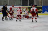 Wings-Hedemora 22012-01-29 249