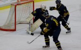 Wings-Hedemora 22012-01-29 288