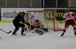 Wings-Hedemora 22012-01-29 422
