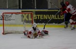 Wings-Hedemora 22012-01-29 424