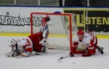 Wings-Hedemora 22012-01-29 440