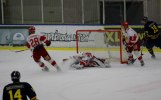 Wings-Hedemora 22012-01-29 451