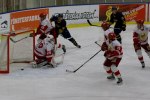 Wings-Hedemora 22012-01-29 474
