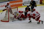 Wings-Hedemora 22012-01-29 475