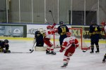 Wings-Hedemora 22012-01-29 510