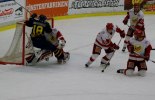 Wings-Hedemora 22012-01-29 589