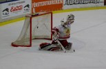 Wings-Hedemora 22012-01-29 611