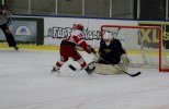Wings-Hedemora 22012-01-29 768